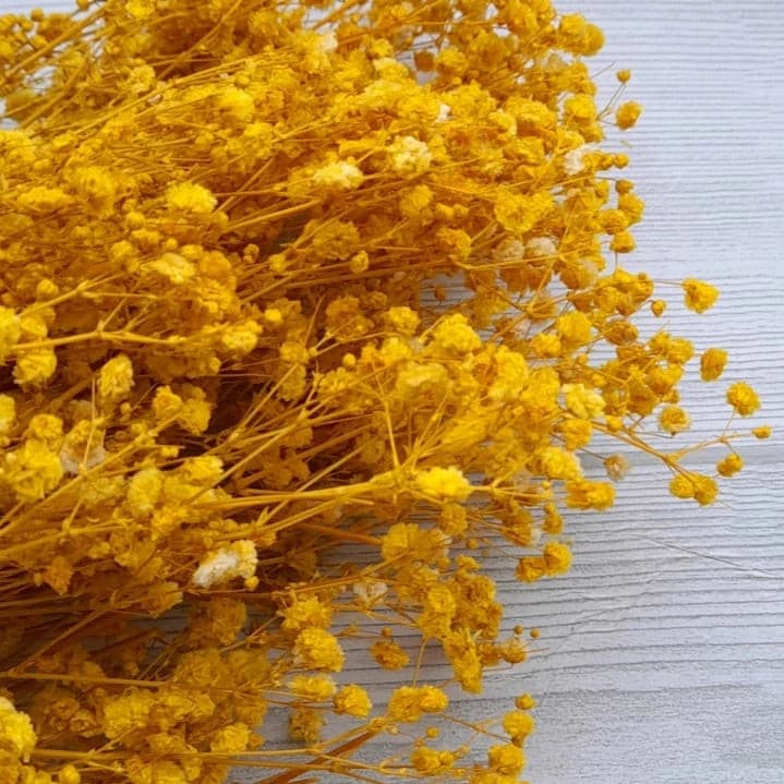 Baby Breath Preserved Dry Flowers | Natural Dry Flowers | Preserved Dry Flowers 10g Bestow Charms
