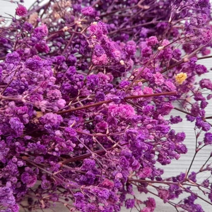 Baby Breath Preserved Dry Flowers | Natural Dry Flowers | Preserved Dry Flowers 10g Bestow Charms