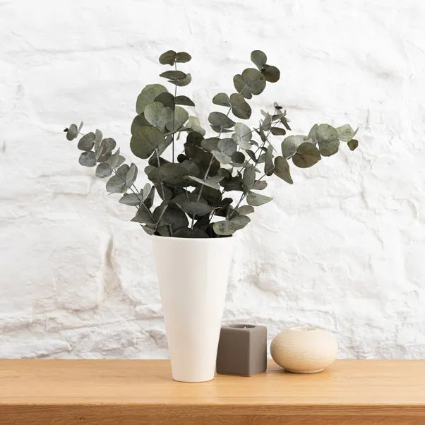 Dry Eucalyptus leaf Box