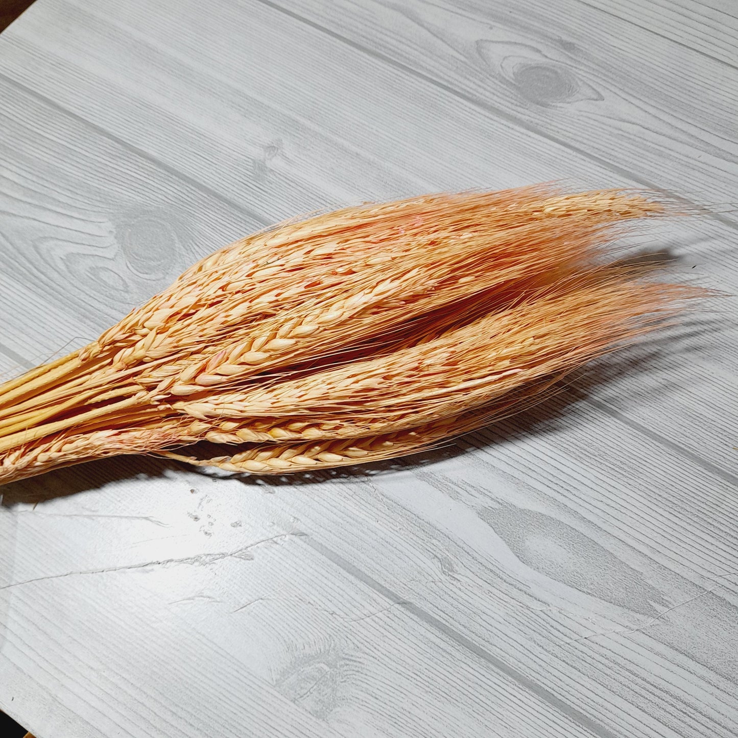 Dry Wheat - Set of 5 Bestow Charms