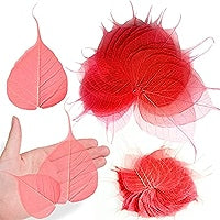 Peepil leafs