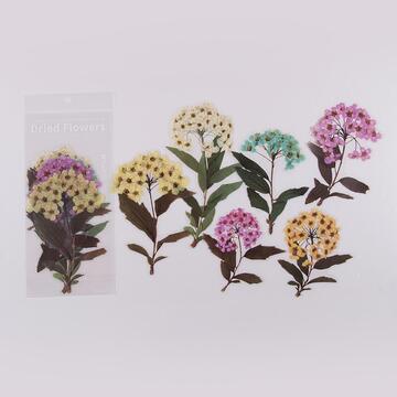 Sticker - Flowers 2