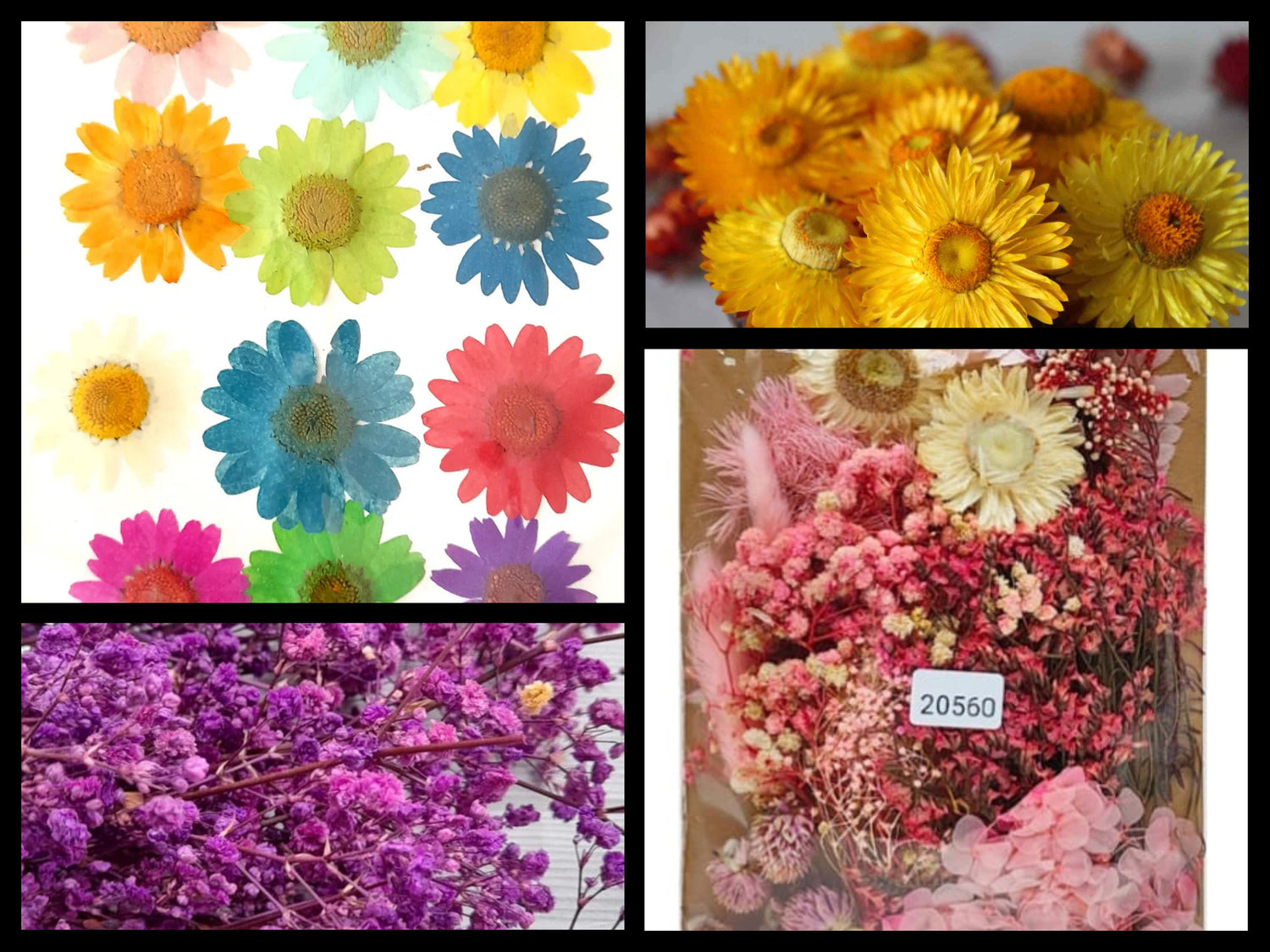 Dry Flowers