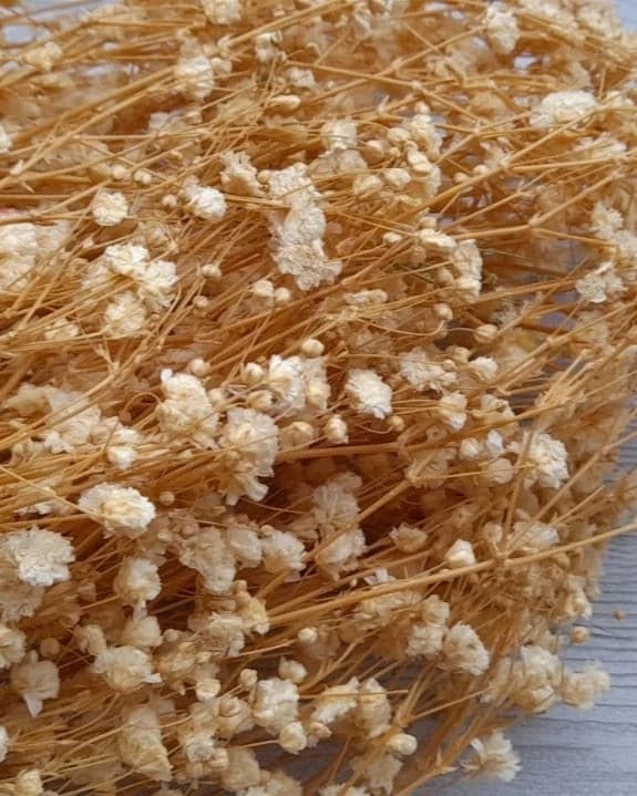Baby Breath Preserved Dry Flowers | Natural Dry Flowers  | Preserved Dry Flowers 10g Bestow Charms