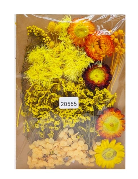 Dry Flower Color Combo Set
