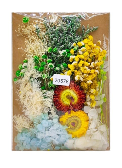 Dry Flower Color Combo Set