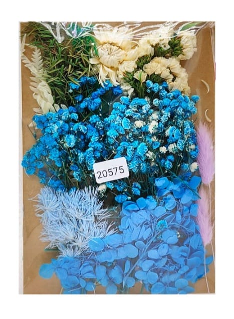 Dry Flower Color Combo Set