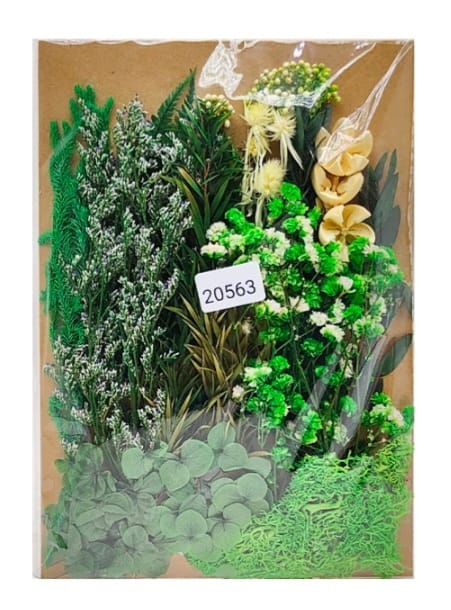 Dry Flower Color Combo Set