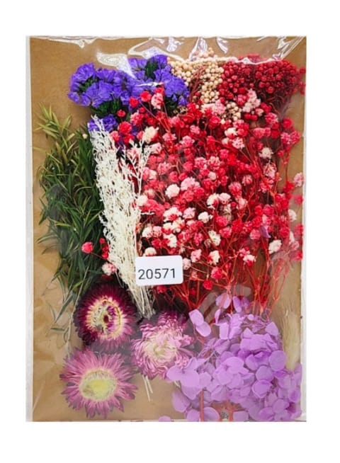 Dry Flower Color Combo Set