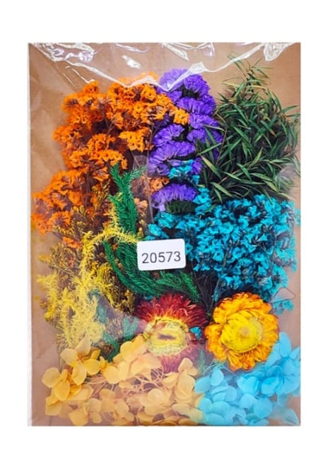 Dry Flower Color Combo Set