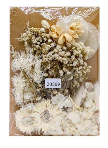 Dry Flower Color Combo Set