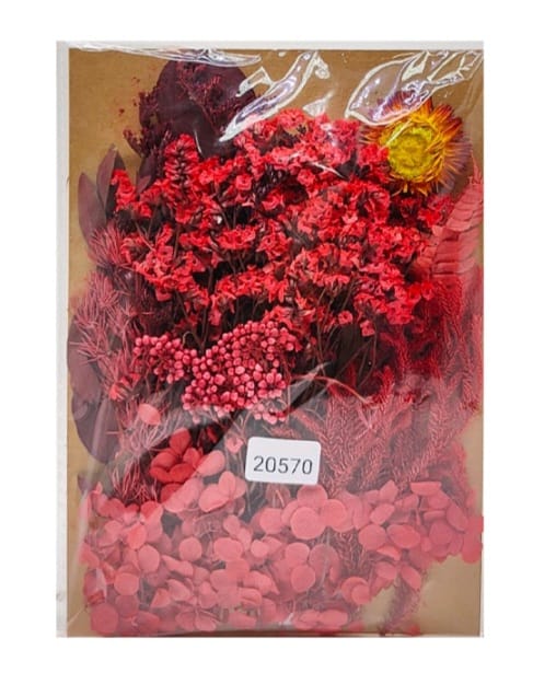 Dry Flower Color Combo Set