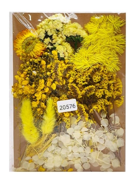 Dry Flower Color Combo Set
