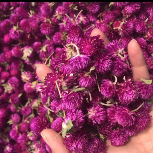 Globe Amaranth