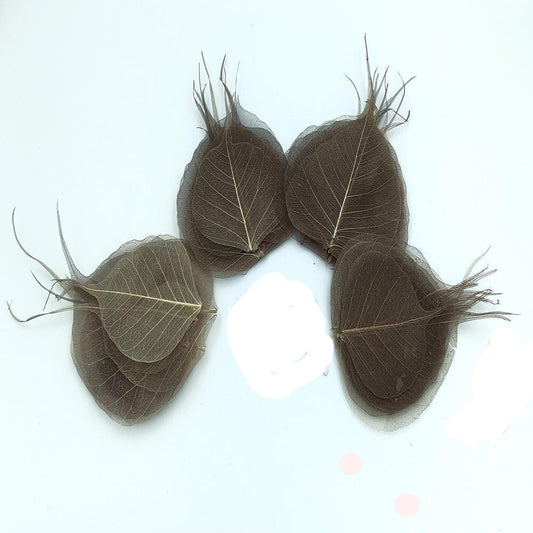 Peepil leafs