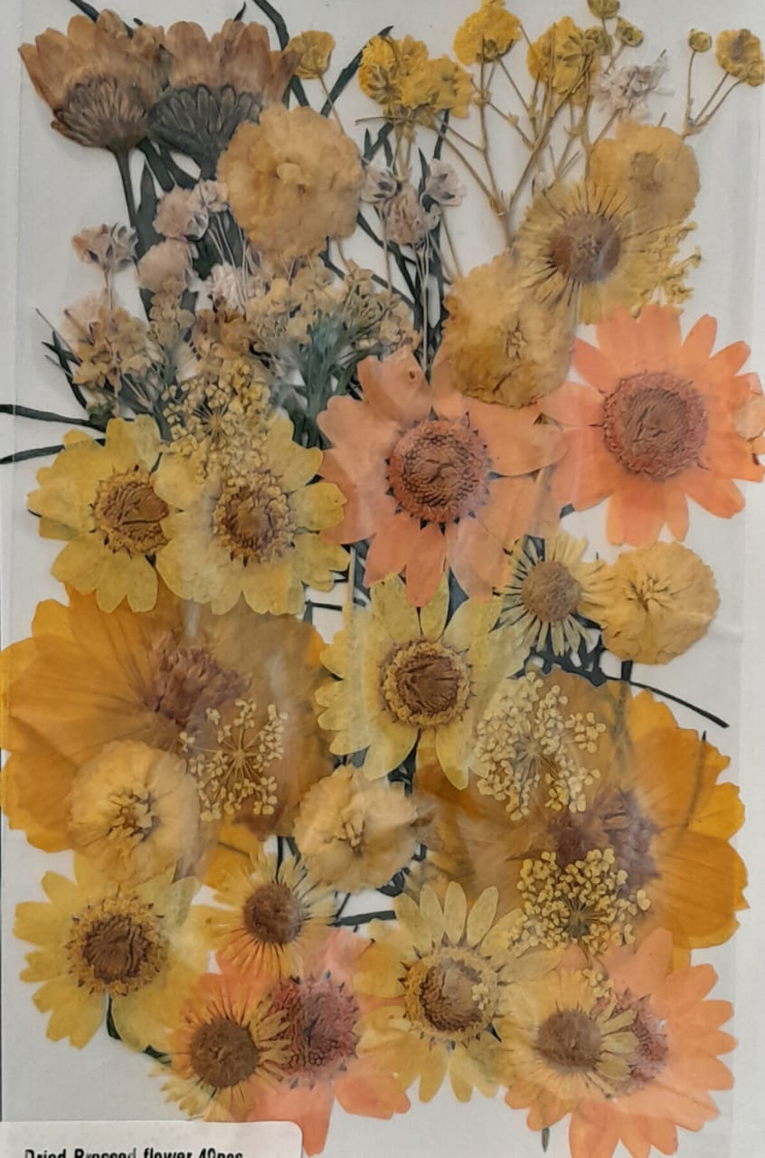Pressed Flowers 36-40 Flowers