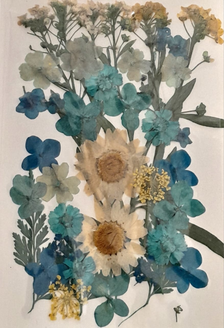 Pressed Flowers 36-40 Flowers