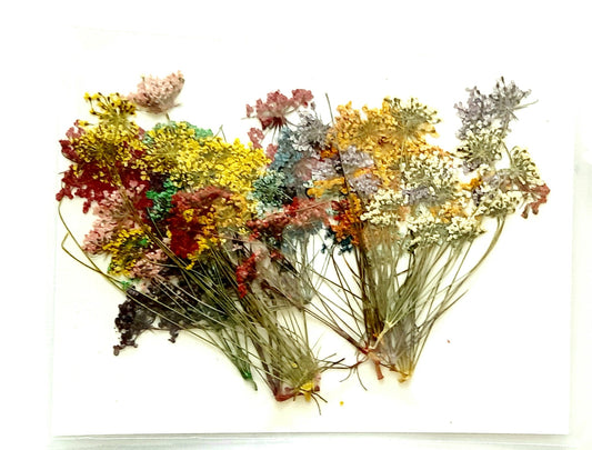 Queen Lace With Stem Bestow Charms