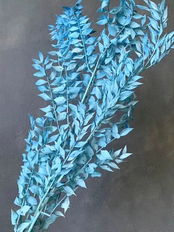 Ruscus Dry Leaves - 10g