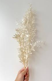 Ruscus Dry Leaves - 10g