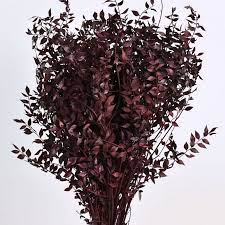 Ruscus Dry Leaves - 10g