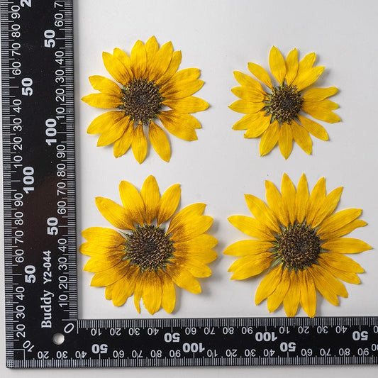 Sunflower - Set of 12 Bestow Charms