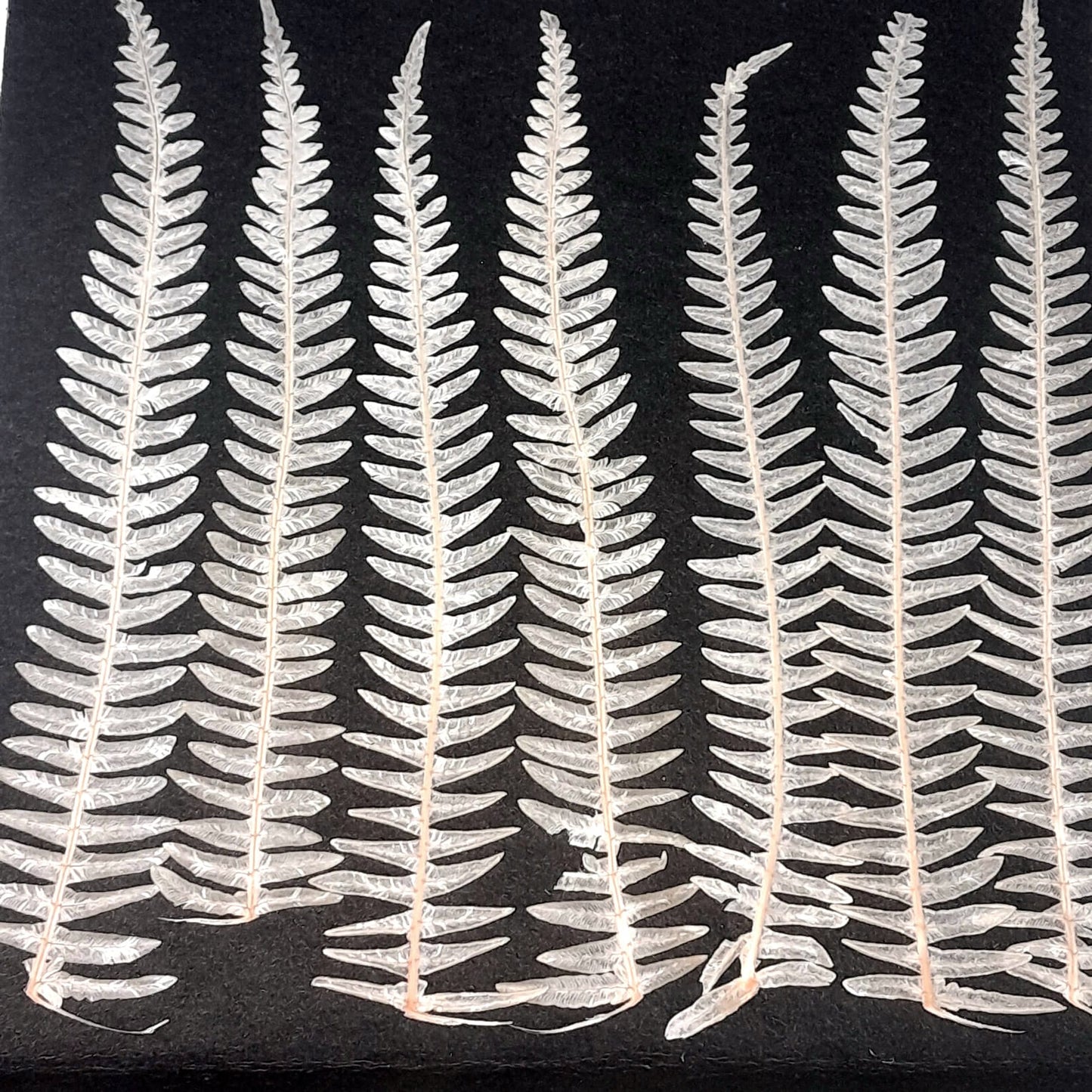 fern leaf  - pack of 20
