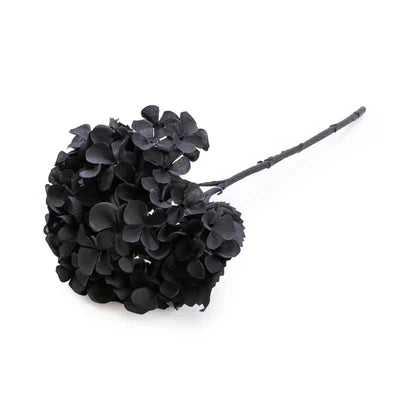 Hydrangeas - 10gms